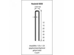 Haubold 503214 KL6040 CRVS niet 6000 Serie 40 mm lengte 20000 stuks