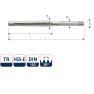 Rotec 356.1600 HSS-G Trapeziumtap TR16 x 4 - 1